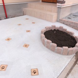 �O��006